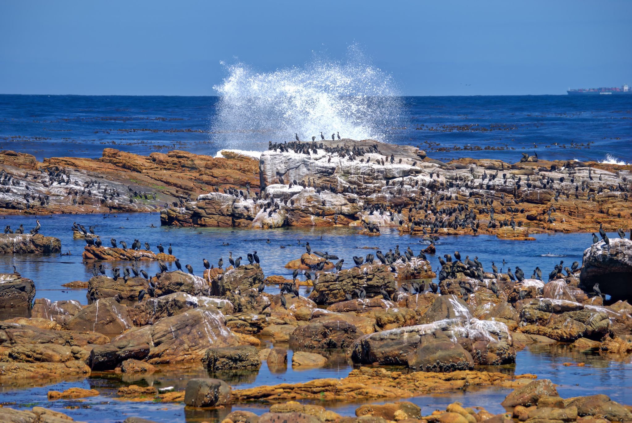Kap der Guten Hoffnung